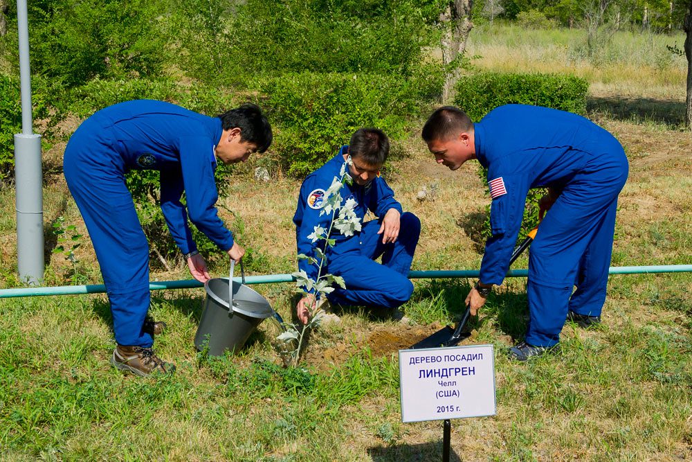 3850:..At the Cosmonaut Hotel crew quarters in Baikonur, Kazakhstan, Expedition 44 prime crewmember Kjell Lindgren of NASA (right) plants a tree in his name in a traditional pre-launch ceremony July 15. Assisting are crewmates Kimiya Yui of the Japan Aero