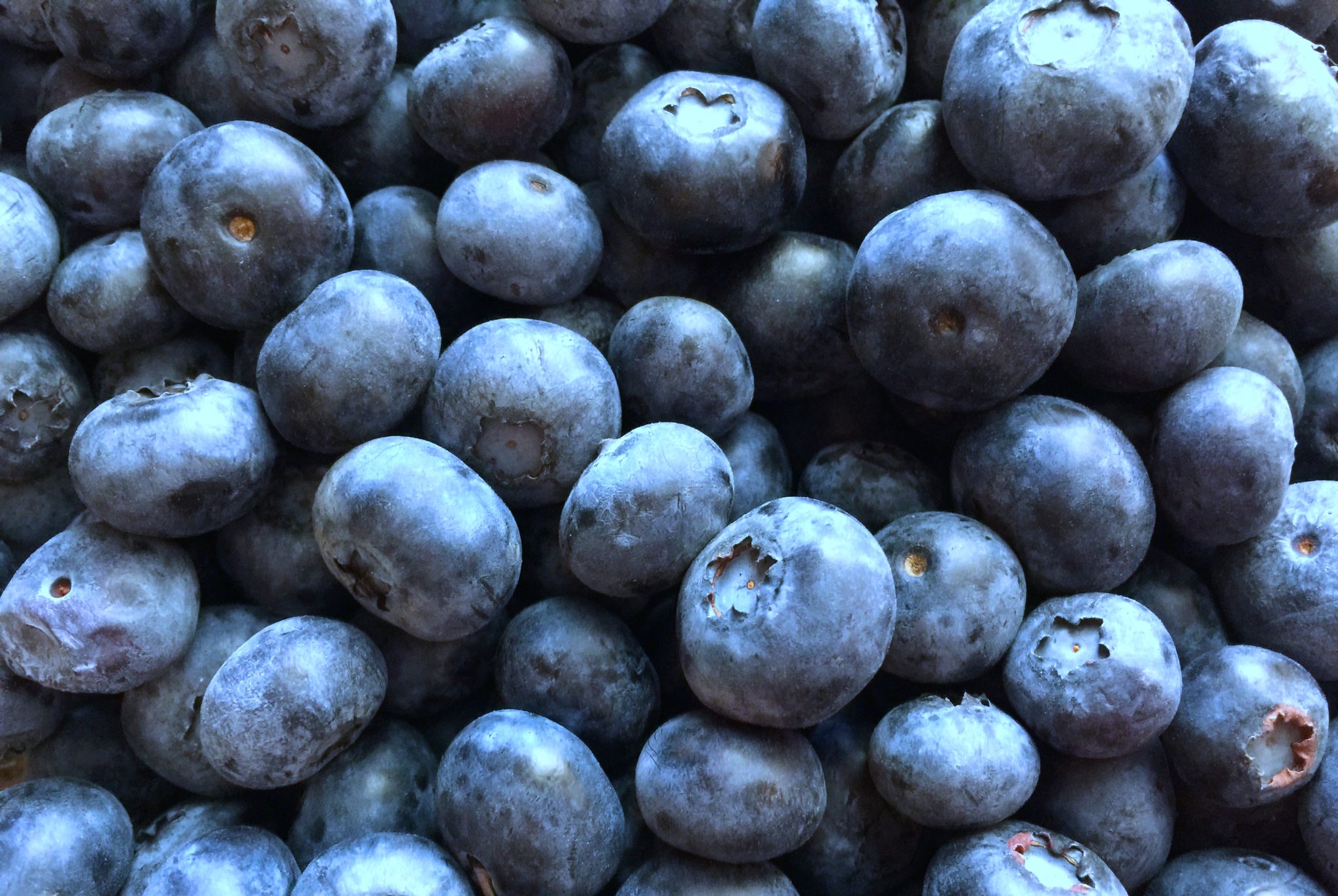 Blueberries