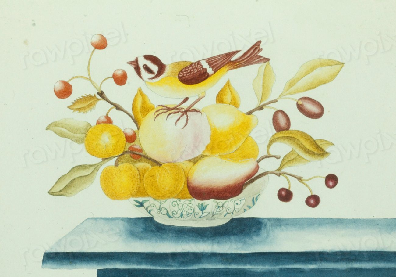 Bird on Fruits in Bowl