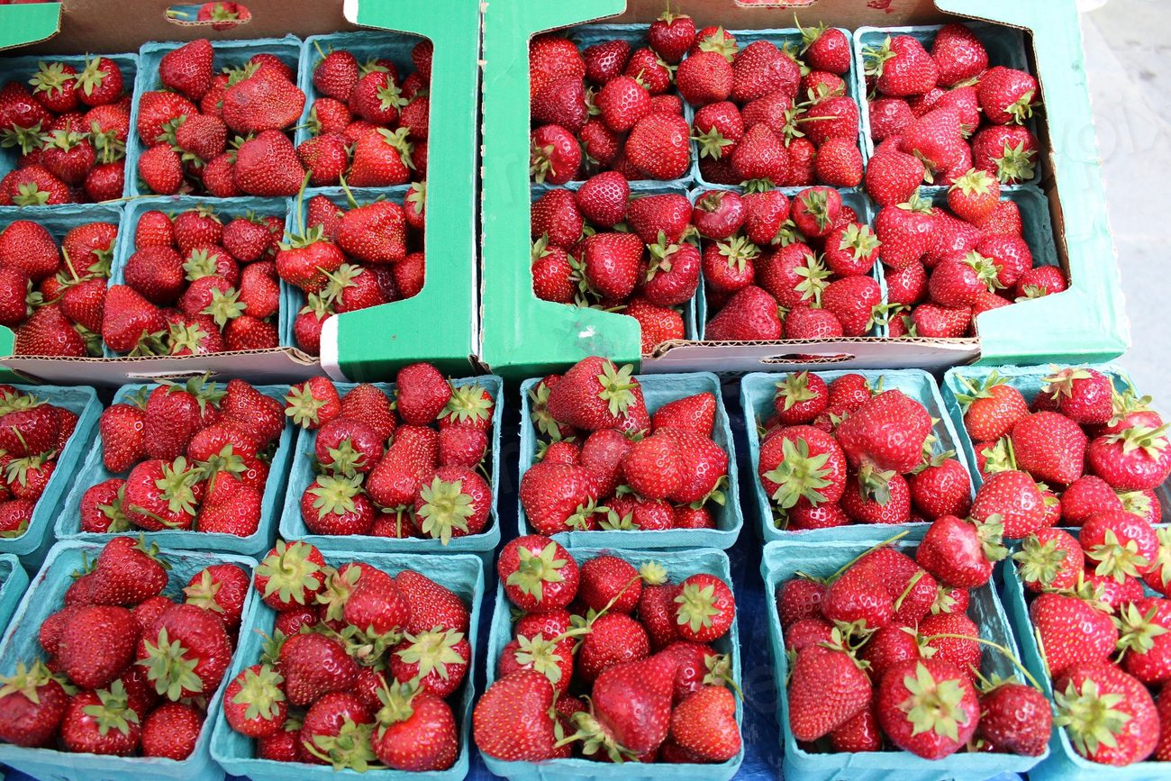 Fresh strawberries in carton paper