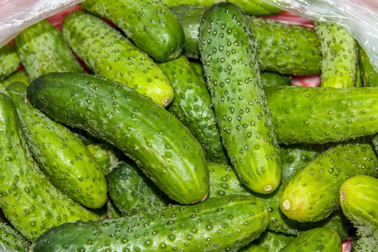 Cucumber vegetable