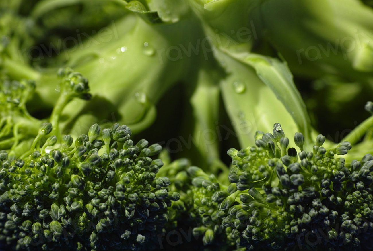 Free fresh broccoli close up image