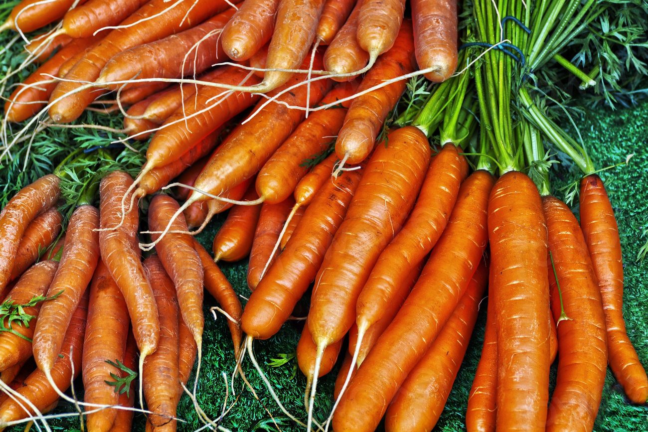 Free carrots top view image