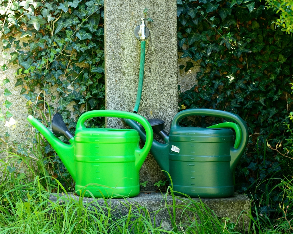 Green watering can garden