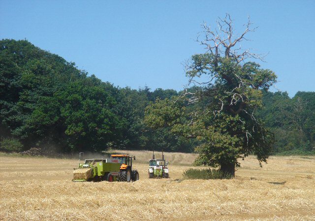 Harvest time in Ickworth Park