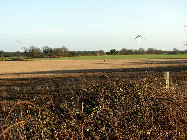 Cultivated fields west of Swaffham