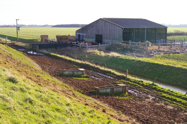 Cowshed by the Wash